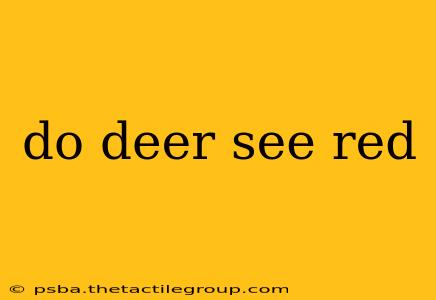 do deer see red