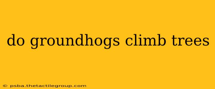 do groundhogs climb trees