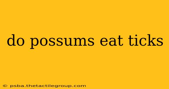 do possums eat ticks