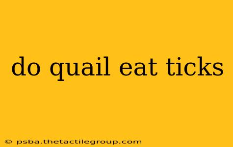 do quail eat ticks