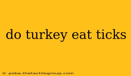 do turkey eat ticks