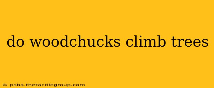 do woodchucks climb trees