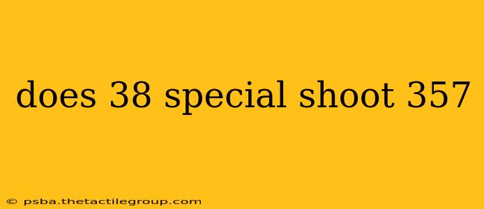 does 38 special shoot 357