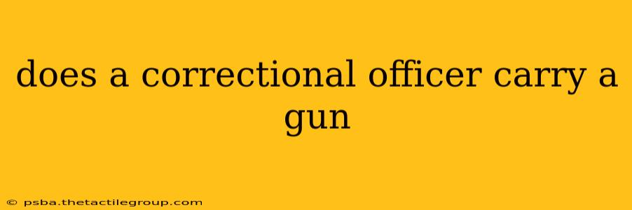 does a correctional officer carry a gun