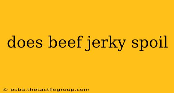 does beef jerky spoil