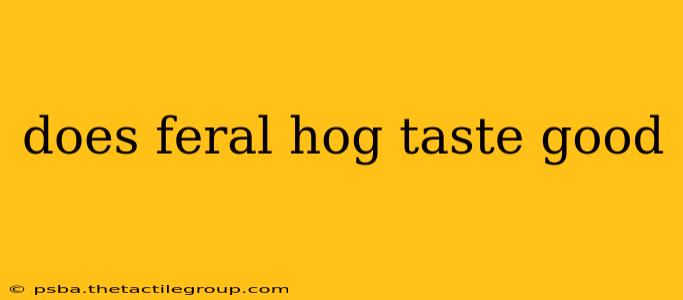 does feral hog taste good