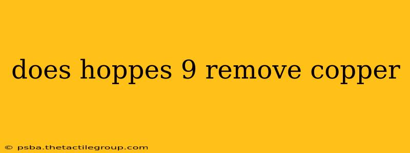 does hoppes 9 remove copper