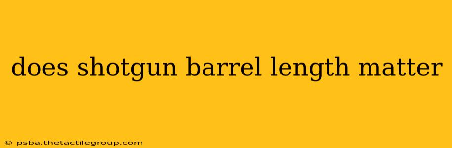 does shotgun barrel length matter