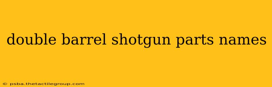 double barrel shotgun parts names