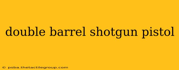 double barrel shotgun pistol