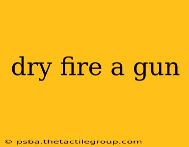 dry fire a gun