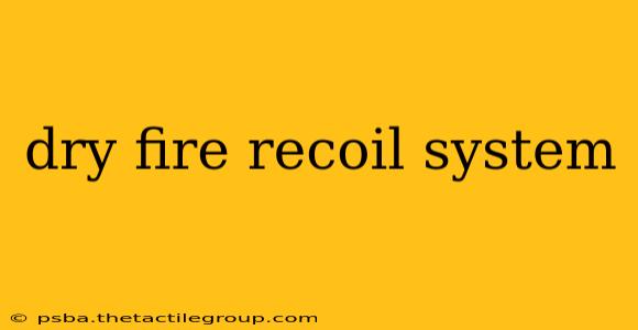 dry fire recoil system