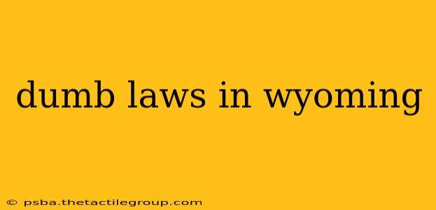 dumb laws in wyoming