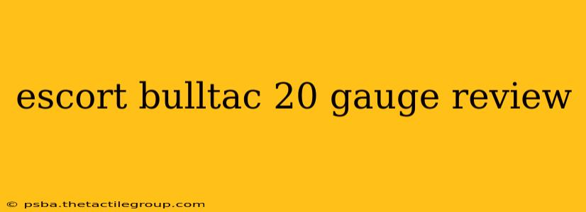 escort bulltac 20 gauge review