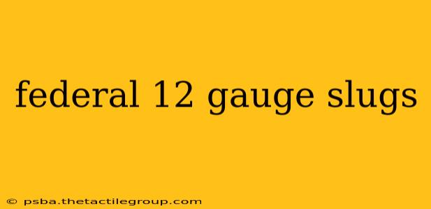 federal 12 gauge slugs