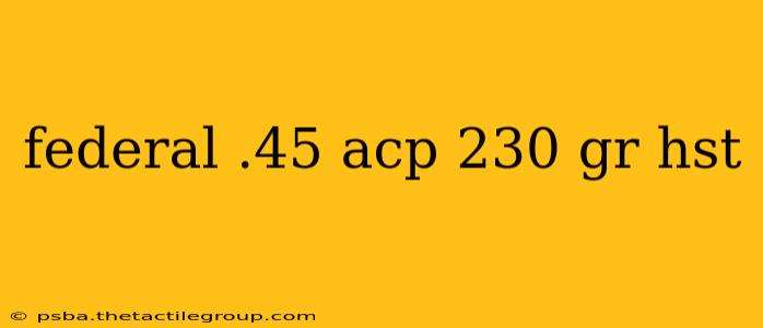 federal .45 acp 230 gr hst