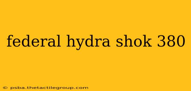 federal hydra shok 380