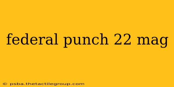 federal punch 22 mag