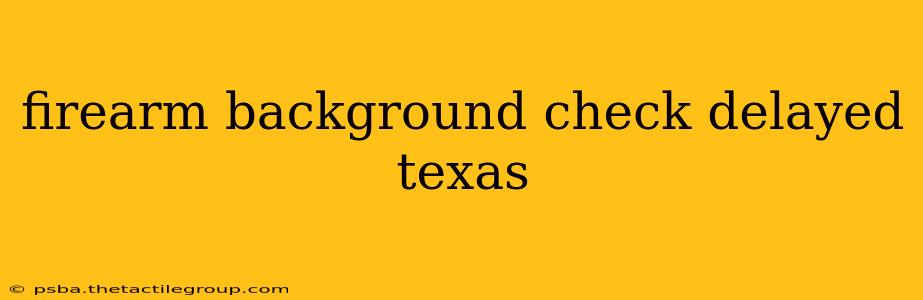 firearm background check delayed texas