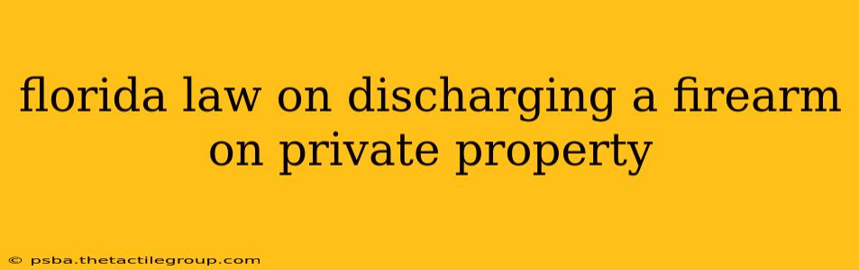 florida law on discharging a firearm on private property