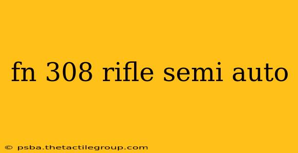 fn 308 rifle semi auto