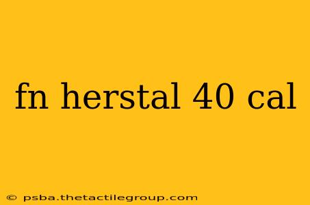 fn herstal 40 cal