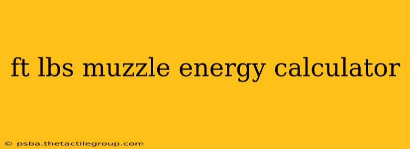 ft lbs muzzle energy calculator