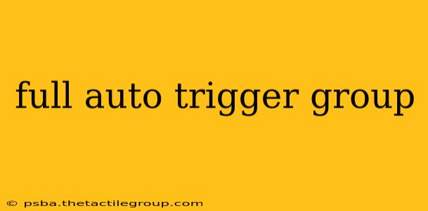 full auto trigger group