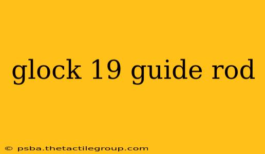 glock 19 guide rod