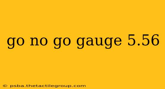 go no go gauge 5.56