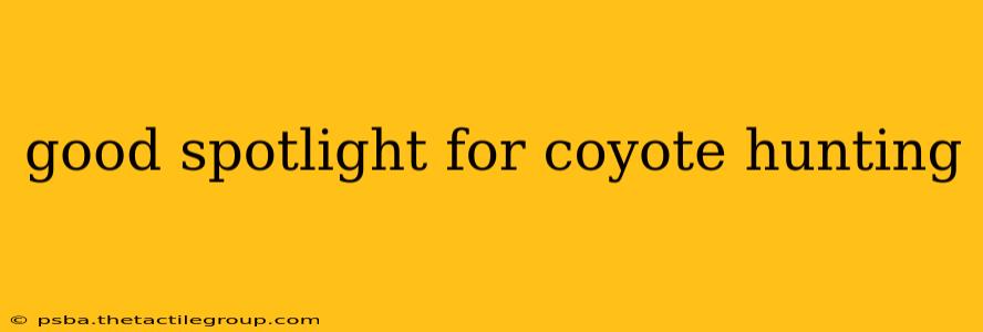 good spotlight for coyote hunting