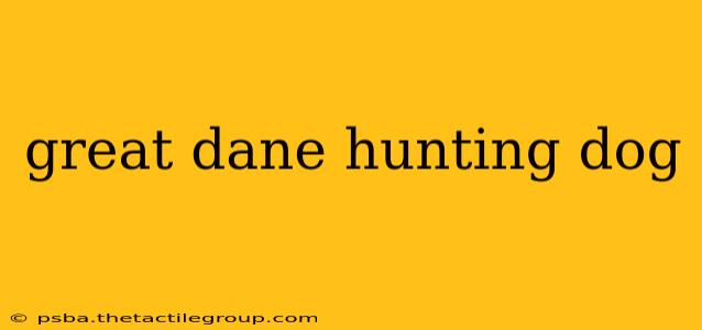 great dane hunting dog