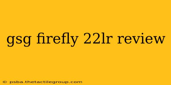 gsg firefly 22lr review