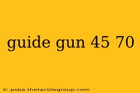 guide gun 45 70