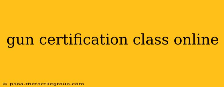 gun certification class online