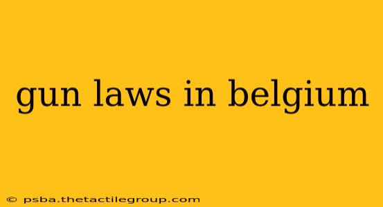 gun laws in belgium