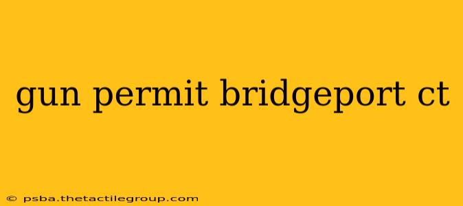 gun permit bridgeport ct