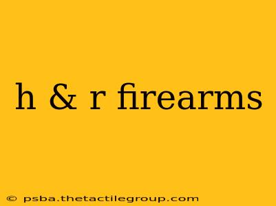 h & r firearms