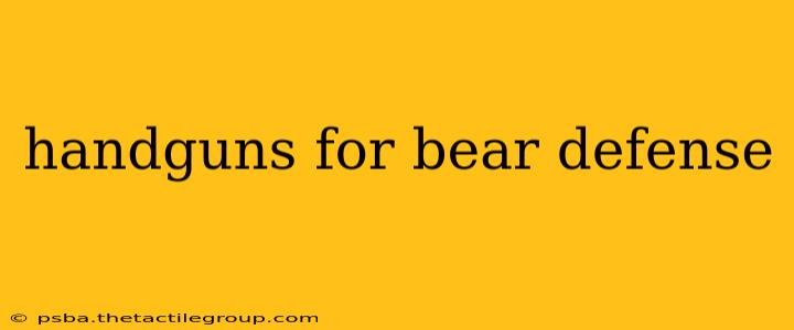 handguns for bear defense