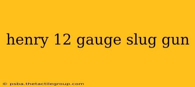 henry 12 gauge slug gun