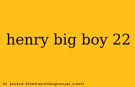 henry big boy 22