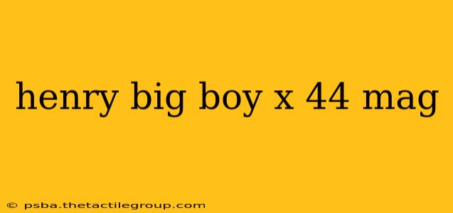 henry big boy x 44 mag