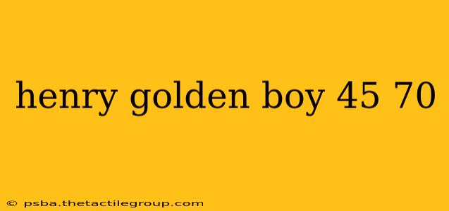 henry golden boy 45 70