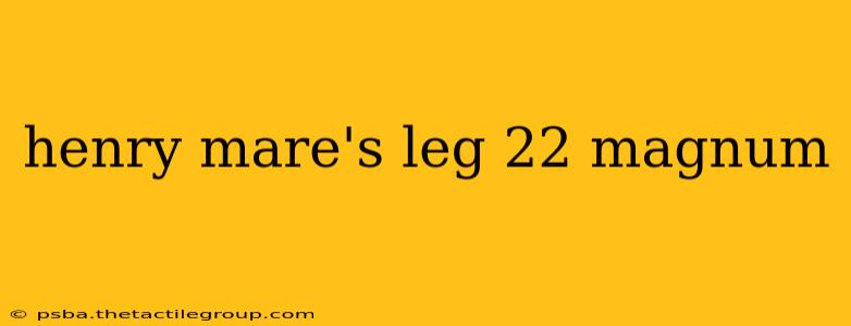 henry mare's leg 22 magnum