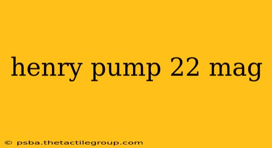 henry pump 22 mag