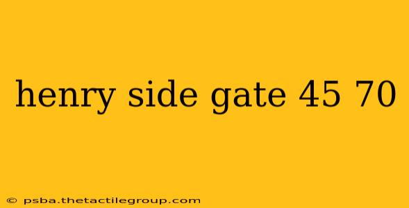 henry side gate 45 70