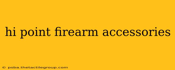 hi point firearm accessories