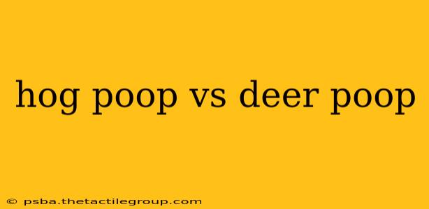 hog poop vs deer poop