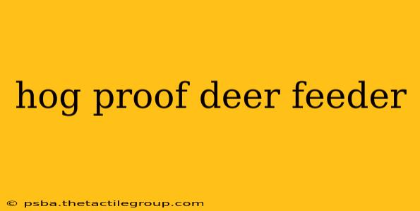 hog proof deer feeder