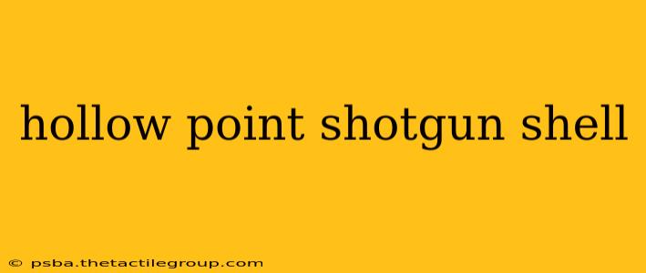 hollow point shotgun shell